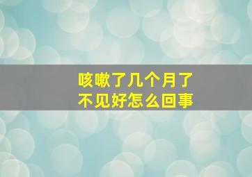 咳嗽了几个月了不见好怎么回事