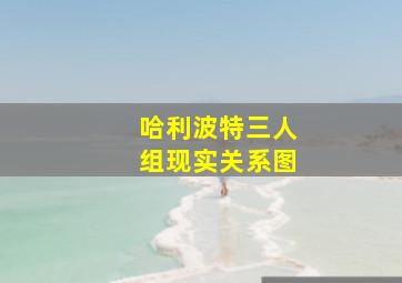 哈利波特三人组现实关系图