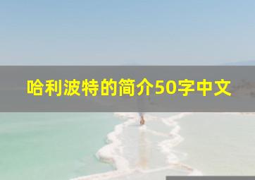 哈利波特的简介50字中文