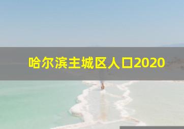 哈尔滨主城区人口2020