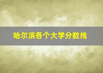 哈尔滨各个大学分数线