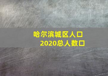 哈尔滨城区人口2020总人数口