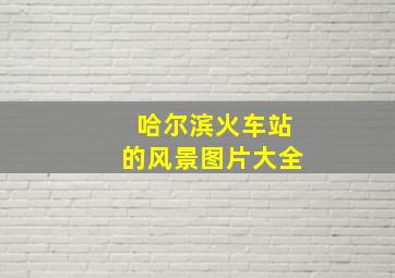 哈尔滨火车站的风景图片大全