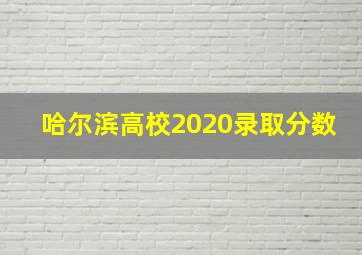 哈尔滨高校2020录取分数