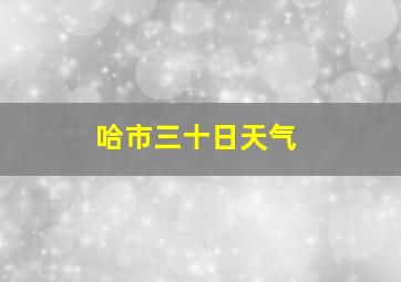 哈市三十日天气