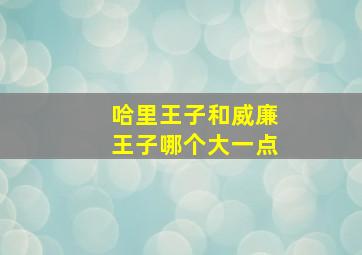 哈里王子和威廉王子哪个大一点