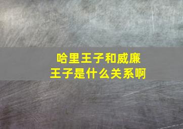 哈里王子和威廉王子是什么关系啊