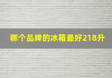 哪个品牌的冰箱最好218升