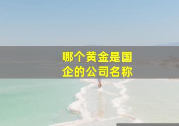 哪个黄金是国企的公司名称