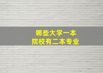 哪些大学一本院校有二本专业