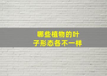 哪些植物的叶子形态各不一样