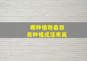 哪种植物最容易种植成活率高