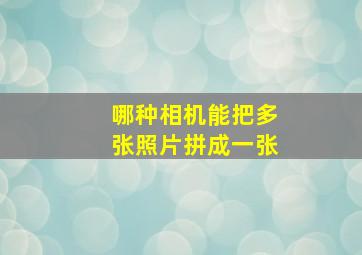 哪种相机能把多张照片拼成一张