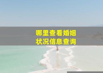 哪里查看婚姻状况信息查询