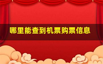 哪里能查到机票购票信息