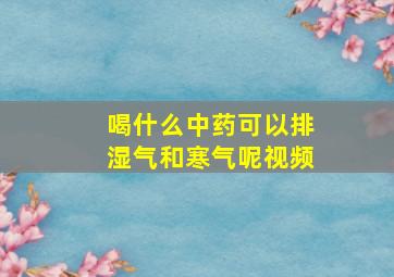 喝什么中药可以排湿气和寒气呢视频