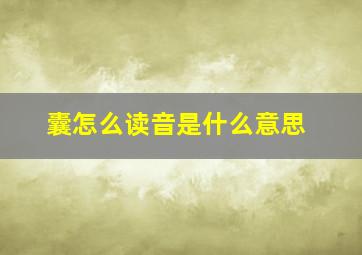 囊怎么读音是什么意思