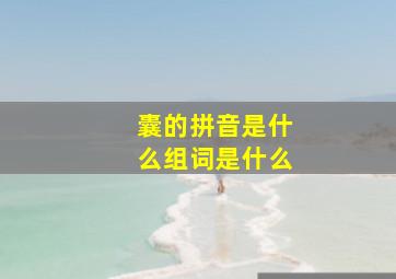 囊的拼音是什么组词是什么