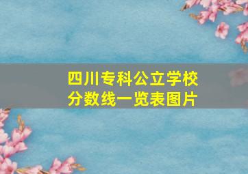 四川专科公立学校分数线一览表图片