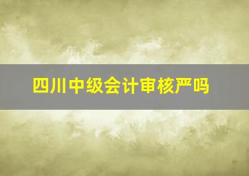 四川中级会计审核严吗