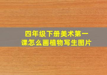 四年级下册美术第一课怎么画植物写生图片