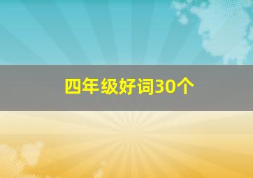 四年级好词30个