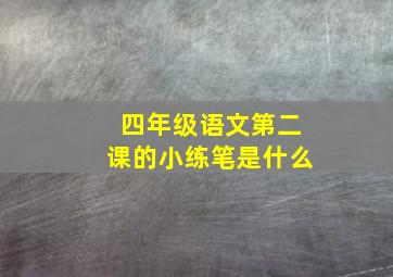 四年级语文第二课的小练笔是什么