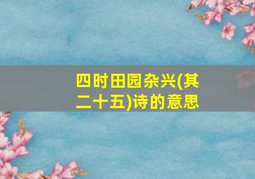 四时田园杂兴(其二十五)诗的意思