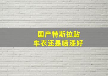 国产特斯拉贴车衣还是喷漆好