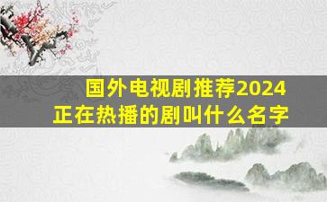 国外电视剧推荐2024正在热播的剧叫什么名字