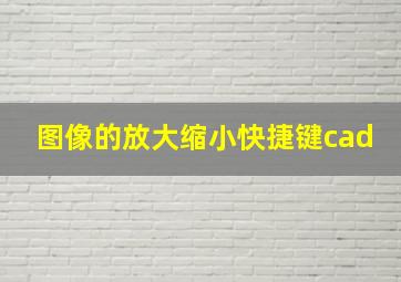 图像的放大缩小快捷键cad