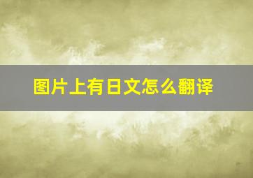 图片上有日文怎么翻译