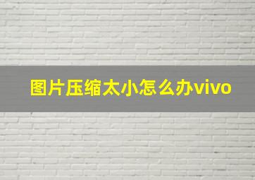 图片压缩太小怎么办vivo