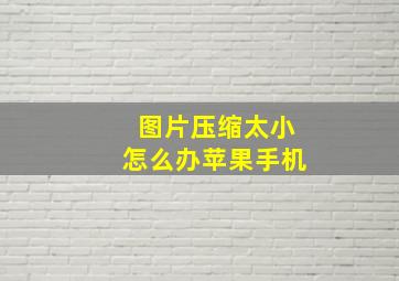 图片压缩太小怎么办苹果手机