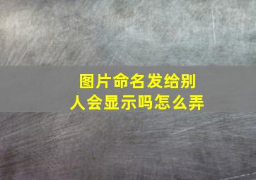 图片命名发给别人会显示吗怎么弄