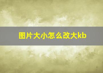 图片大小怎么改大kb