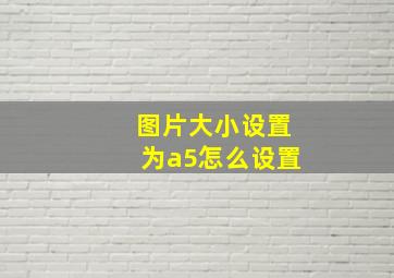 图片大小设置为a5怎么设置