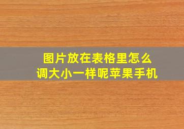 图片放在表格里怎么调大小一样呢苹果手机