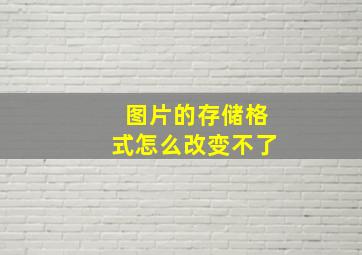 图片的存储格式怎么改变不了