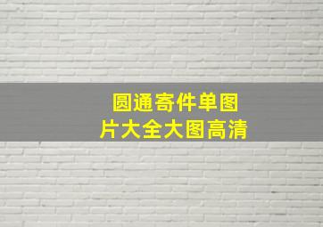 圆通寄件单图片大全大图高清