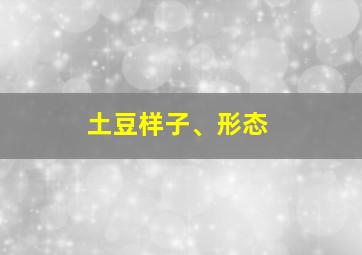 土豆样子、形态