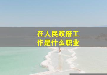 在人民政府工作是什么职业