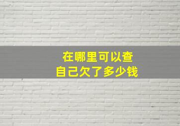 在哪里可以查自己欠了多少钱