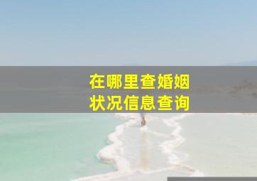 在哪里查婚姻状况信息查询