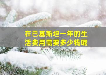 在巴基斯坦一年的生活费用需要多少钱呢