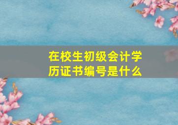 在校生初级会计学历证书编号是什么