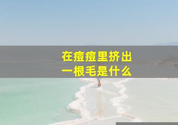 在痘痘里挤出一根毛是什么