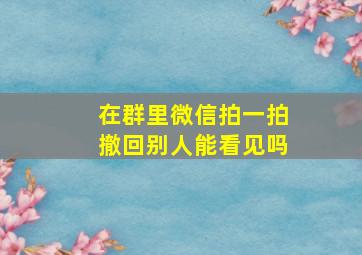 在群里微信拍一拍撤回别人能看见吗