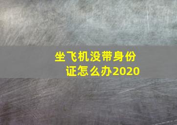 坐飞机没带身份证怎么办2020