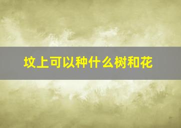 坟上可以种什么树和花